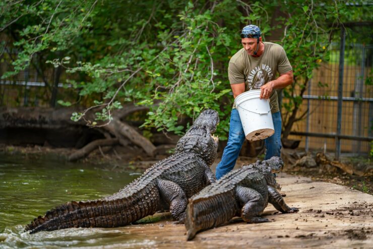 Top 5 Animal Shows to Check Out at the Snake Farm This Summer