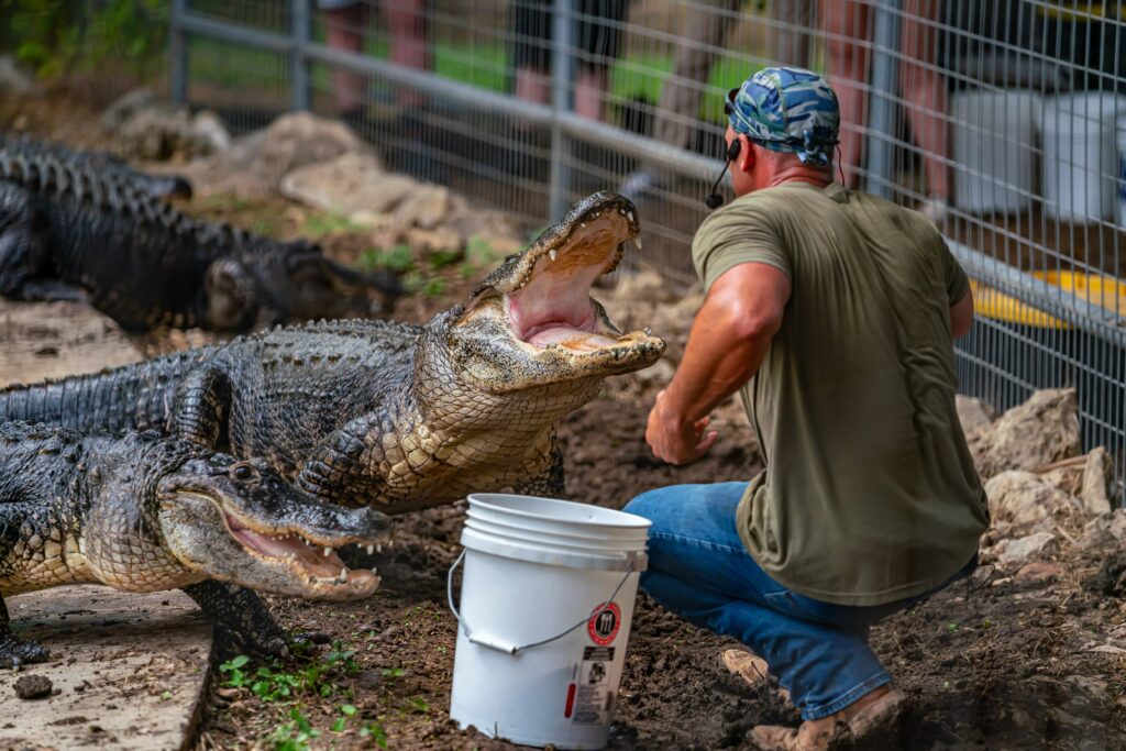 Spring Break Animal World and Snake Farm Zoo in New Braunfels