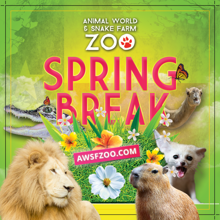 Jungle Jam Spring Break Bash Zoo & Snake Farm New Braunfels